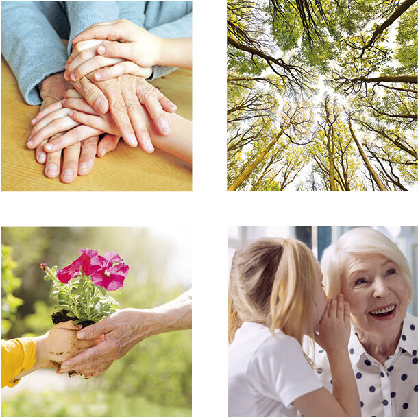 Solitäre Tagespflege Im Kreuz zu Haus – Bilder